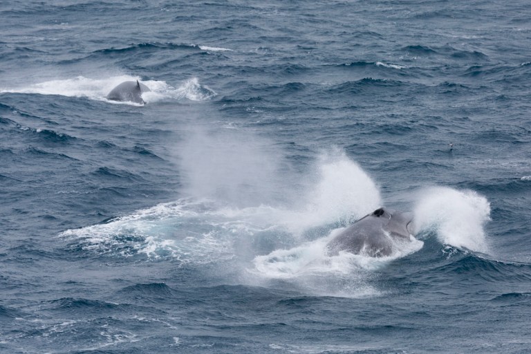 {Rich Youd 2017-02-04} 2X1A6302